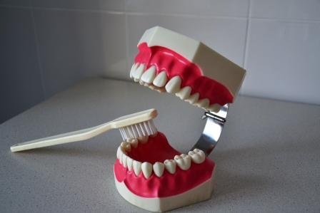 Удаление зубного камня с 1-го зуба